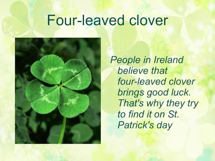 Four-leaved clover People in Ireland believe that four-leaved clover brings good