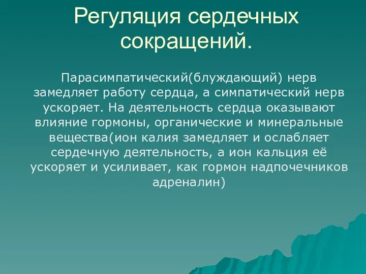 Регуляция сердечных сокращений. Парасимпатический(блуждающий) нерв замедляет работу сердца, а симпатический нерв