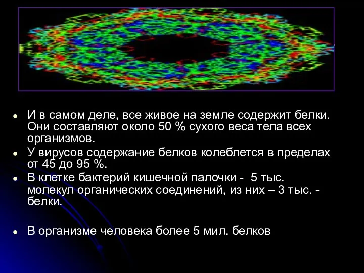 Наша задача: выяснить химическое строение и биологическую роль белков. И в