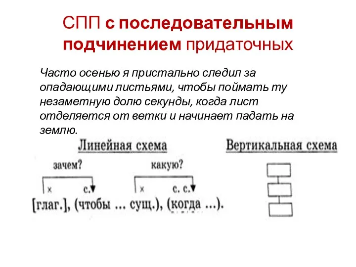 СПП с последовательным подчинением придаточных Часто осенью я пристально следил за