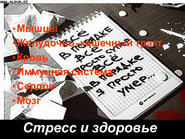 Стресс и здоровье Мышцы Желудочно-кишечный тракт Кровь Иммунная система Сердце Мозг