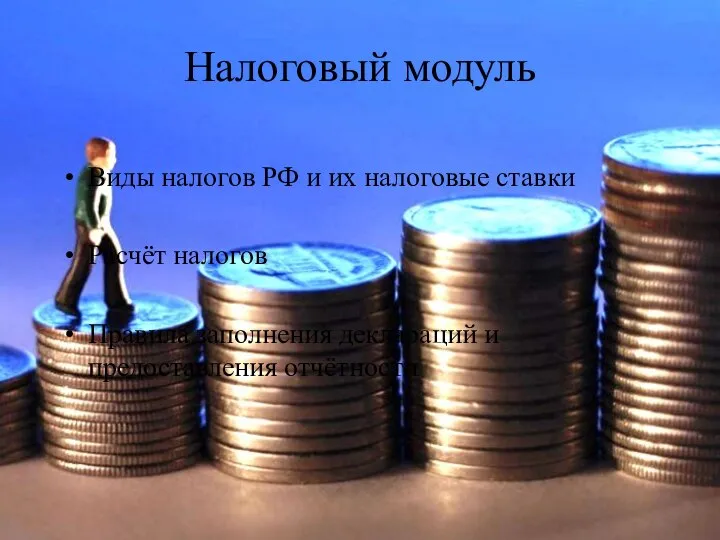 Налоговый модуль Виды налогов РФ и их налоговые ставки Расчёт налогов