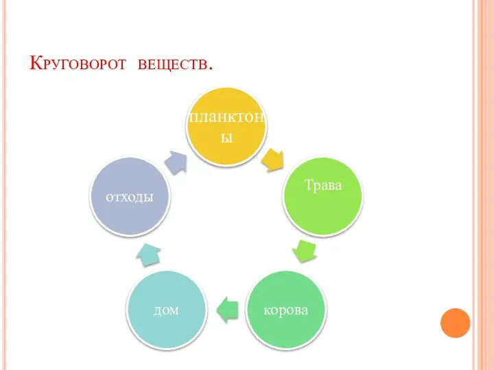 Круговорот веществ.