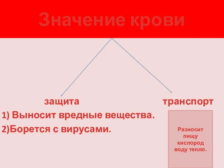 Значение крови защита транспорт 1) Выносит вредные вещества. 2)Борется с вирусами. Разносит пищу кислород воду тепло.