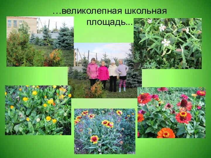 …великолепная школьная площадь...