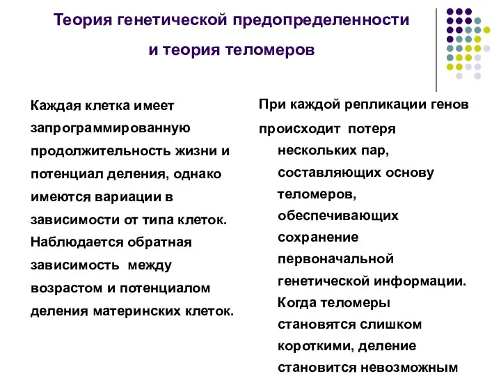 Теория генетической предопределенности и теория теломеров Каждая клетка имеет запрограммированную продолжительность