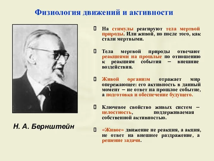 Физиология движений и активности Н. А. Бернштейн На стимулы реагируют тела