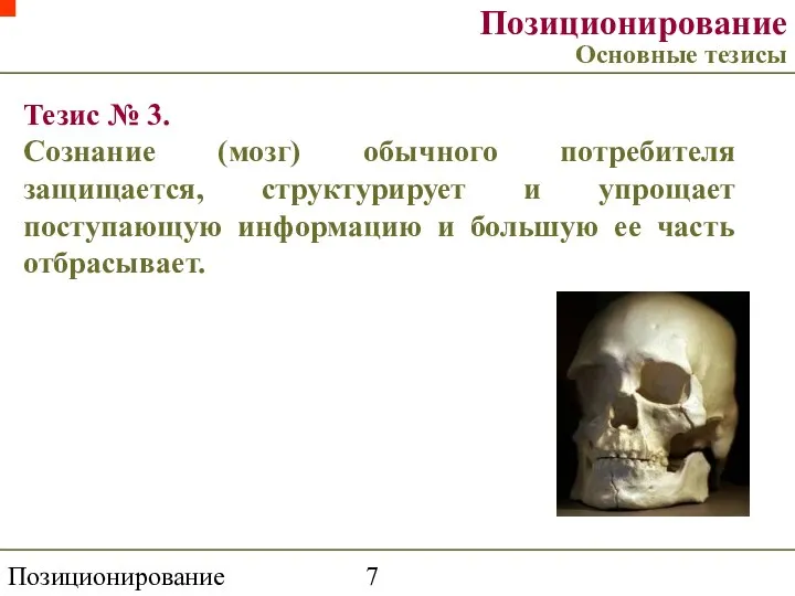 Позиционирование торговой марки Позиционирование Основные тезисы Тезис № 3. Сознание (мозг)