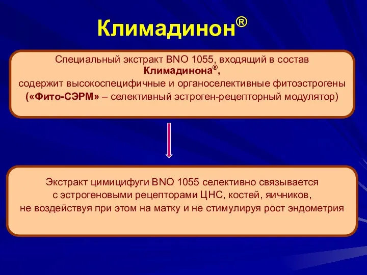 Специальный экстракт BNO 1055, входящий в состав Климадинона®, содержит высокоспецифичные и