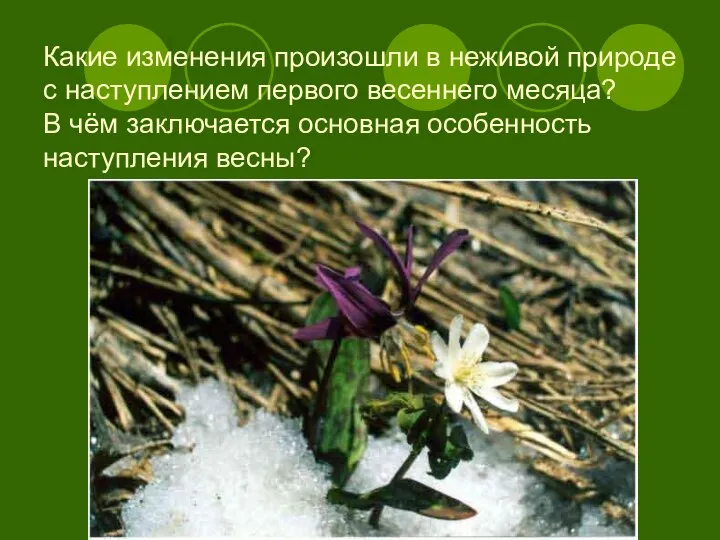 Какие изменения произошли в неживой природе с наступлением первого весеннего месяца?