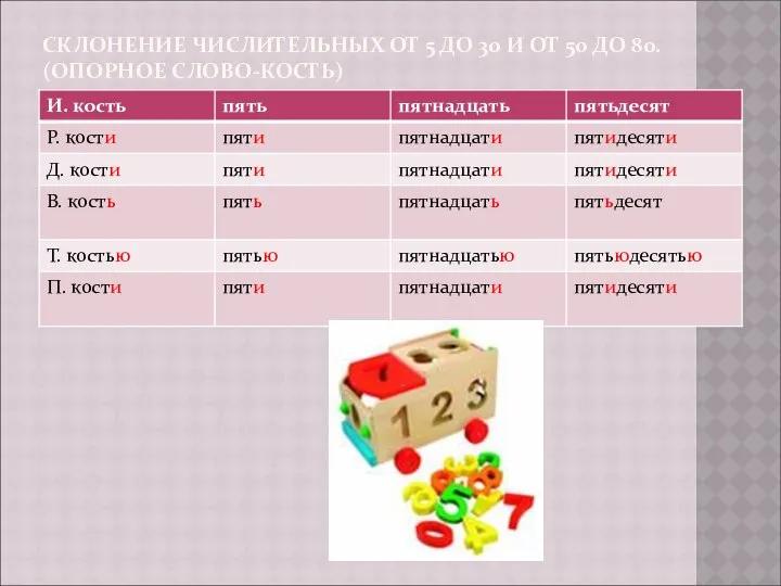 СКЛОНЕНИЕ ЧИСЛИТЕЛЬНЫХ ОТ 5 ДО 30 И ОТ 50 ДО 80. (ОПОРНОЕ СЛОВО-КОСТЬ)