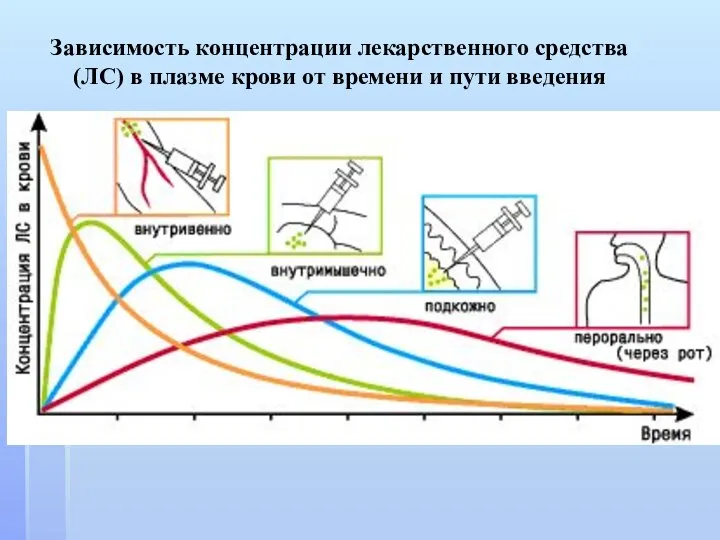 Зависимость концентрации лекарственного средства (ЛС) в плазме крови от времени и пути введения