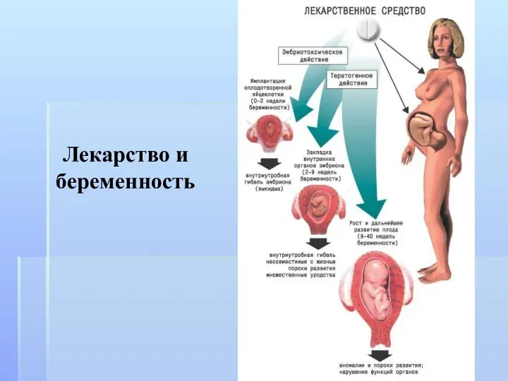 Лекарство и беременность