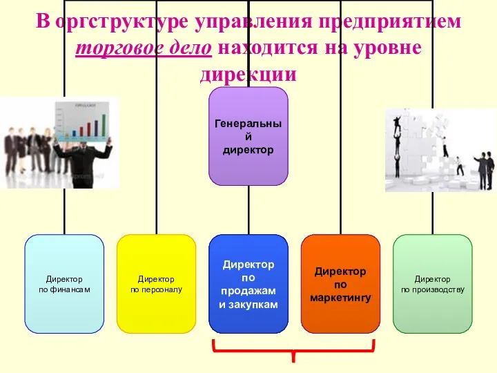 В оргструктуре управления предприятием торговое дело находится на уровне дирекции