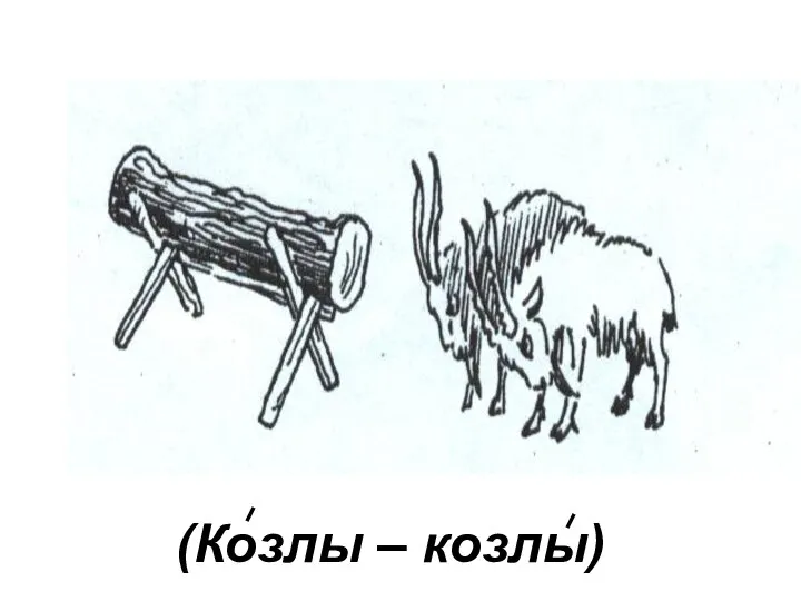 (Козлы – козлы)