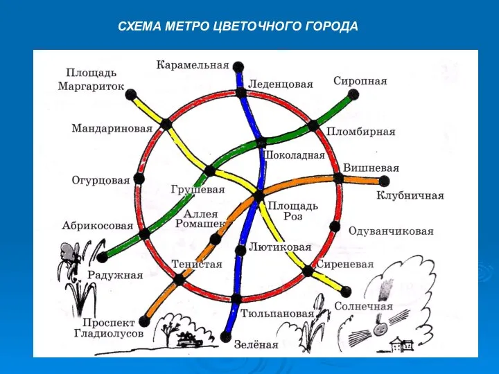 СХЕМА МЕТРО ЦВЕТОЧНОГО ГОРОДА