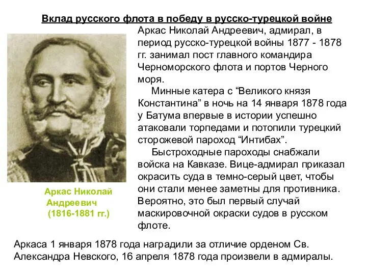 Вклад русского флота в победу в русско-турецкой войне Аркас Николай Андреевич