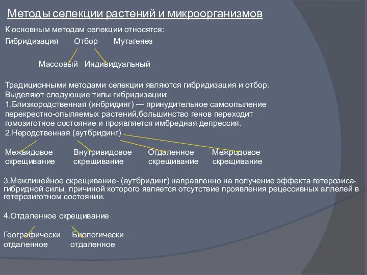 Методы селекции растений и микроорганизмов К основным методам селекции относятся: Гибридизация