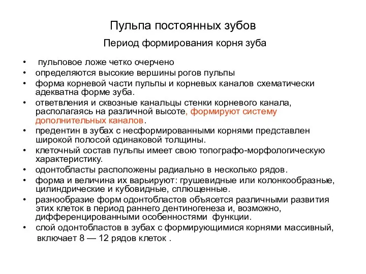 Пульпа постоянных зубов Период формирования корня зуба пульповое ложе четко очерчено