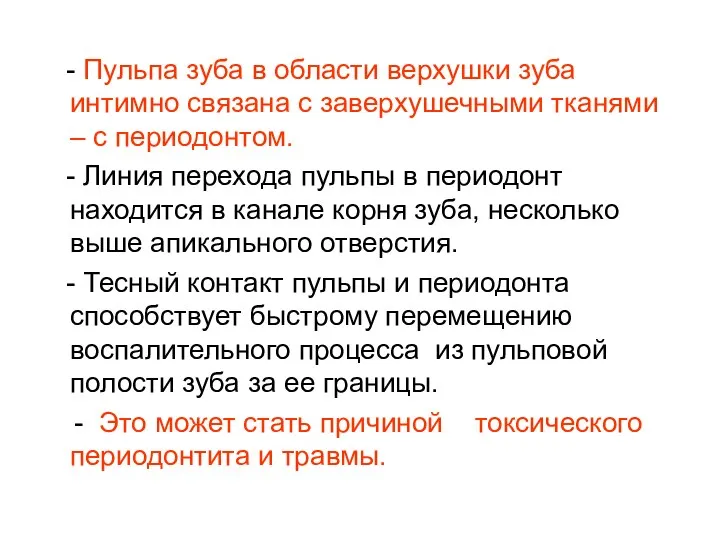 - Пульпа зуба в области верхушки зуба интимно связана с заверхушечными