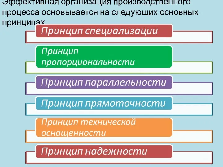 Эффективная организация производственного процесса основывается на следующих основных принципах.