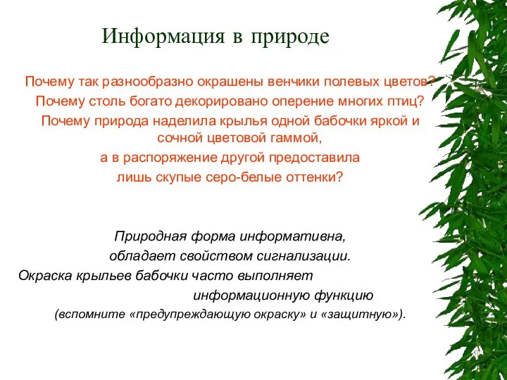 Информация в природе Почему так разнообразно окрашены венчики полевых цветов? Почему