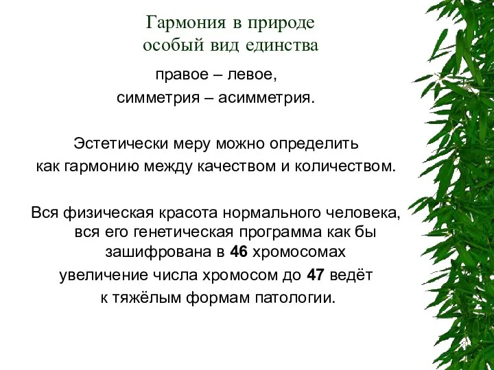 Гармония в природе особый вид единства правое – левое, симметрия –