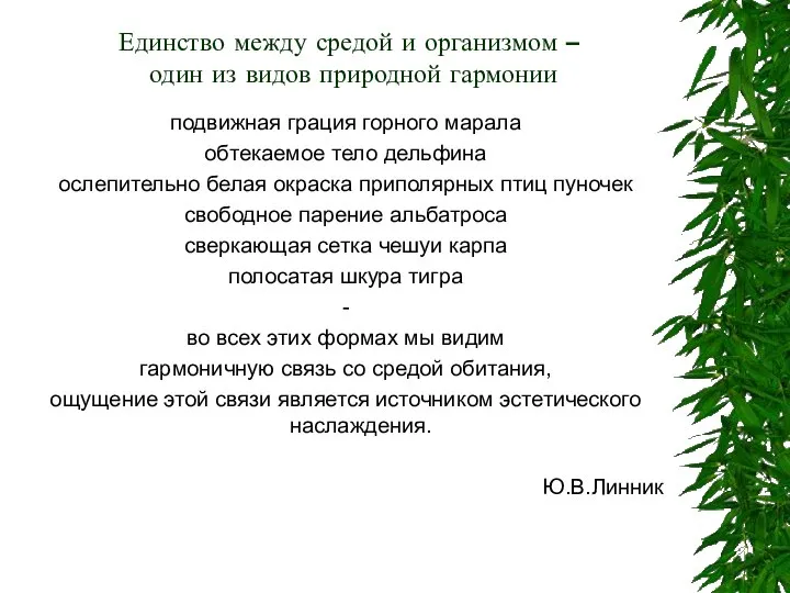 Единство между средой и организмом – один из видов природной гармонии