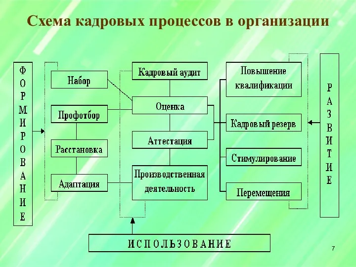 Схема кадровых процессов в организации