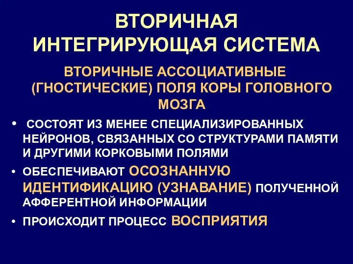 ВТОРИЧНАЯ ИНТЕГРИРУЮЩАЯ СИСТЕМА ВТОРИЧНЫЕ АССОЦИАТИВНЫЕ (ГНОСТИЧЕСКИЕ) ПОЛЯ КОРЫ ГОЛОВНОГО МОЗГА СОСТОЯТ