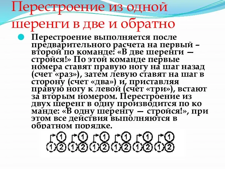 Перестроение из одной шеренги в две и обратно Перестроение выполняется после