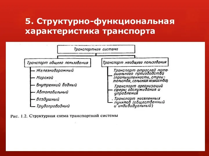 5. Структурно-функциональная характеристика транспорта