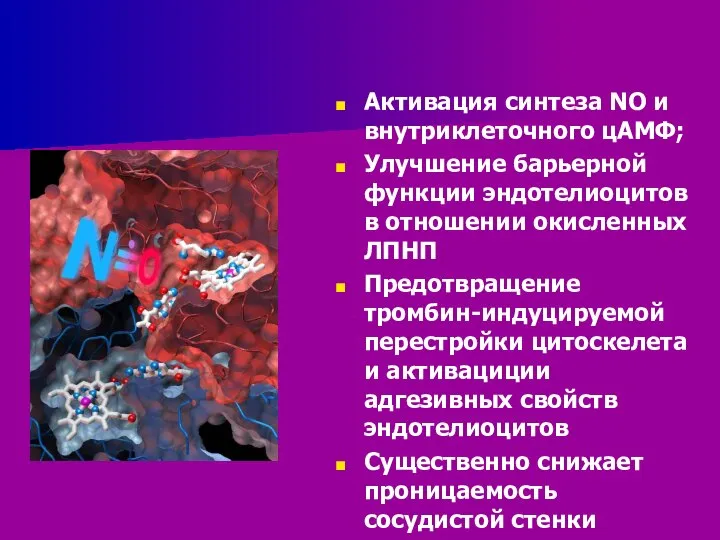 Активация синтеза NO и внутриклеточного цАМФ; Улучшение барьерной функции эндотелиоцитов в