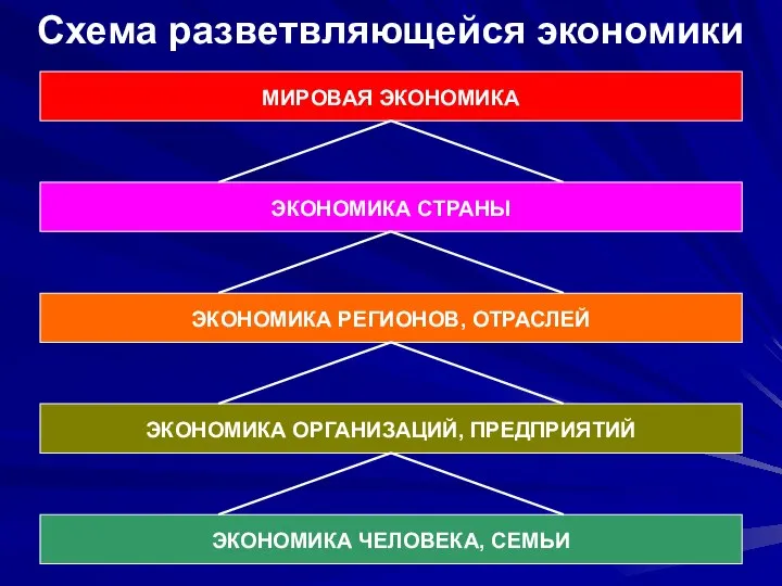 МИРОВАЯ ЭКОНОМИКА ЭКОНОМИКА СТРАНЫ ЭКОНОМИКА РЕГИОНОВ, ОТРАСЛЕЙ ЭКОНОМИКА ОРГАНИЗАЦИЙ, ПРЕДПРИЯТИЙ ЭКОНОМИКА ЧЕЛОВЕКА, СЕМЬИ Схема разветвляющейся экономики