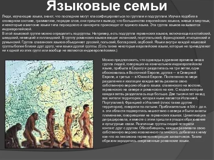 Языковые семьи Люди, изучающие языки, знают, что последние могут классифицироваться по