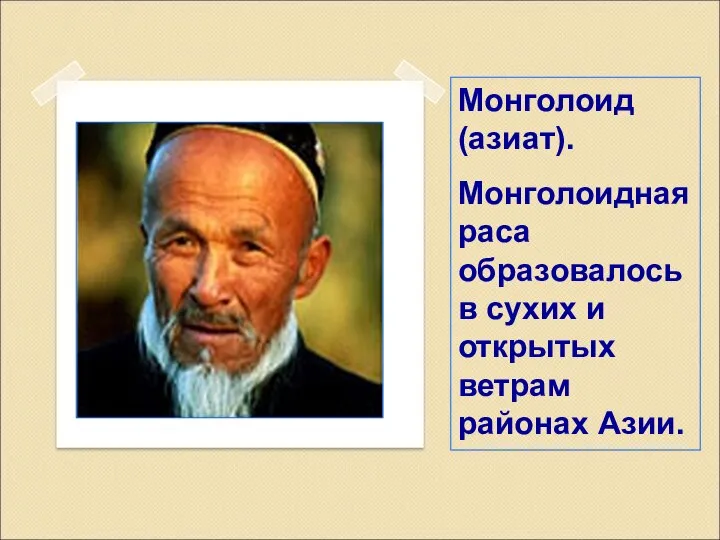 Монголоид (азиат). Монголоидная раса образовалось в сухих и открытых ветрам районах Азии.