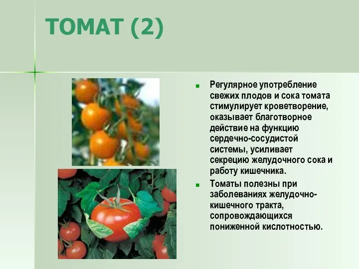 ТОМАТ (2) Регулярное употребление свежих плодов и сока томата стимулирует кроветворение,