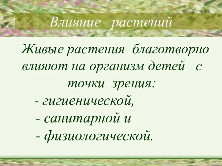 Влияние растений Живые растения благотворно влияют на организм детей с точки