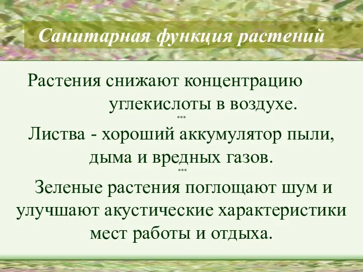 Санитарная функция растений Растения снижают концентрацию углекислоты в воздухе. *** Листва