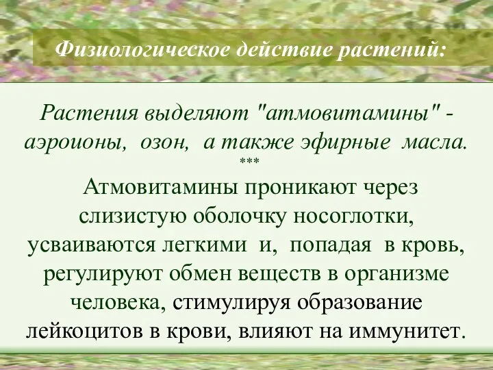 Физиологическое действие растений: Растения выделяют "атмовитамины" -аэроионы, озон, а также эфирные