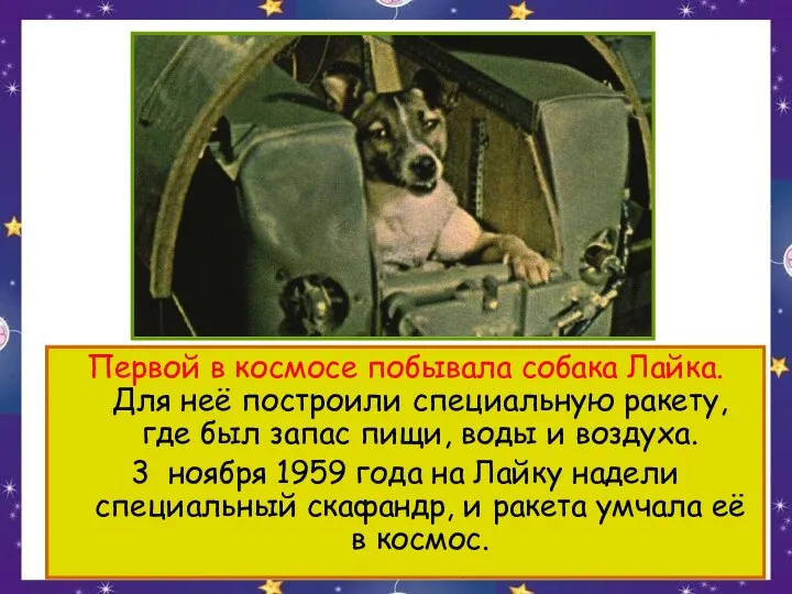 Первой в космосе побывала собака Лайка. Для неё построили специальную ракету,