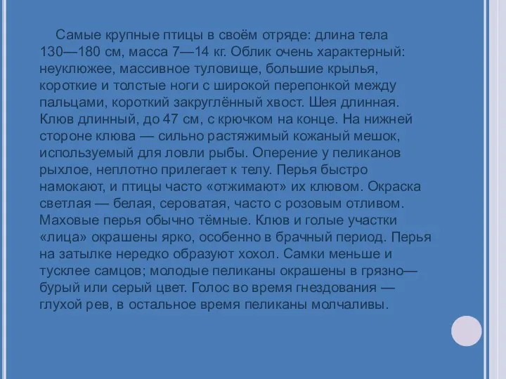 Самые крупные птицы в своём отряде: длина тела 130—180 см, масса