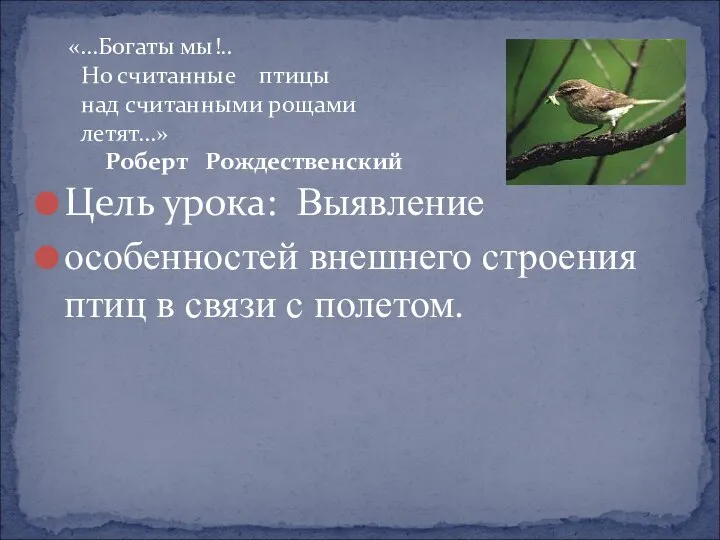 Цель урока: Выявление особенностей внешнего строения птиц в связи с полетом.