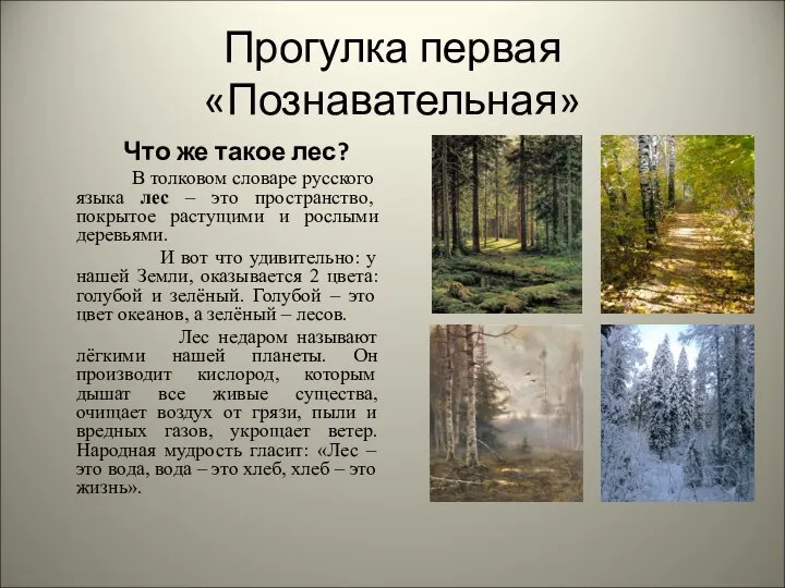 Прогулка первая «Познавательная» Что же такое лес? В толковом словаре русского