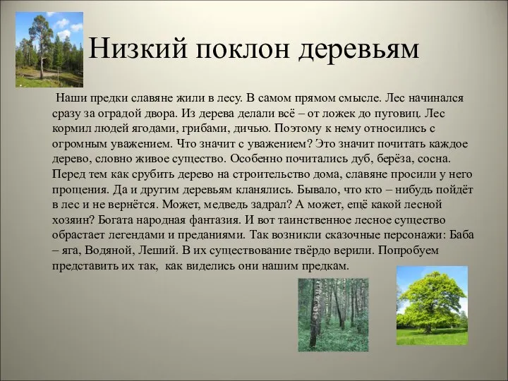 Низкий поклон деревьям Наши предки славяне жили в лесу. В самом