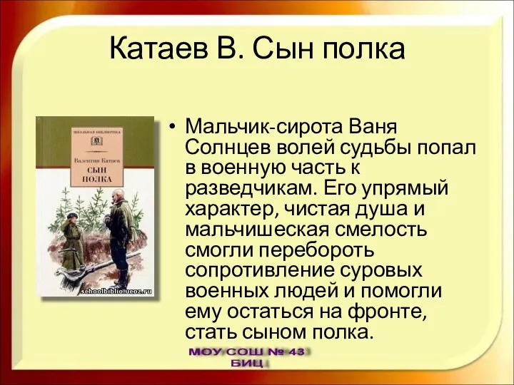 Катаев В. Сын полка Мальчик-сирота Ваня Солнцев волей судьбы попал в