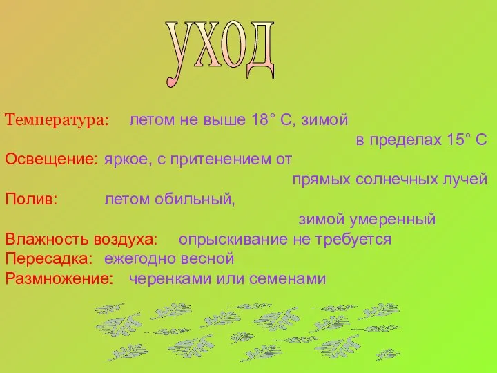 Температура: летом не выше 18° С, зимой в пределах 15° С.