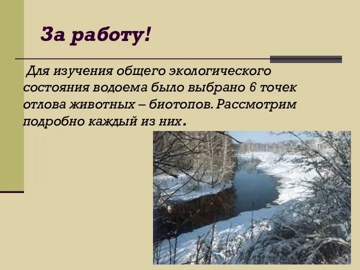 За работу! Для изучения общего экологического состояния водоема было выбрано 6