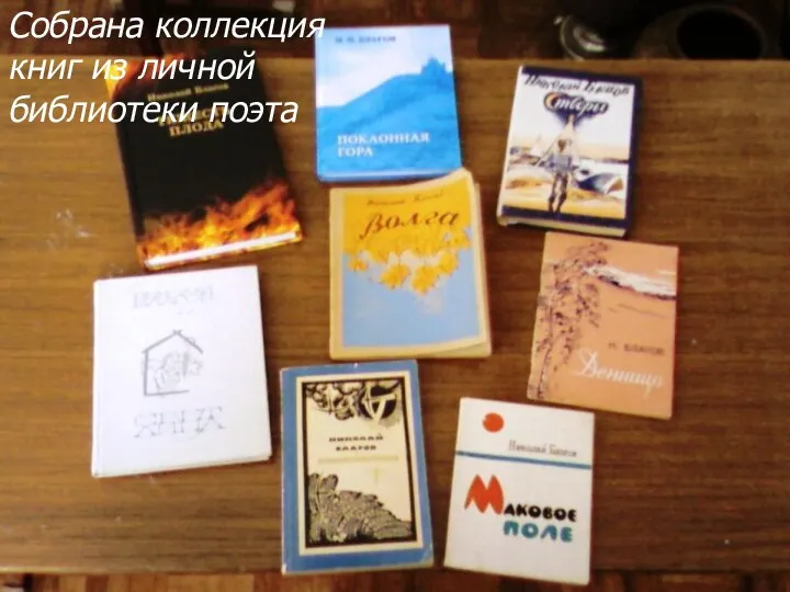 Собрана коллекция книг из личной библиотеки поэта