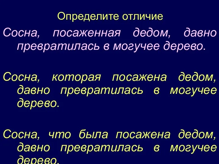 Определите отличие Сосна, посаженная дедом, давно превратилась в могучее дерево. Сосна,